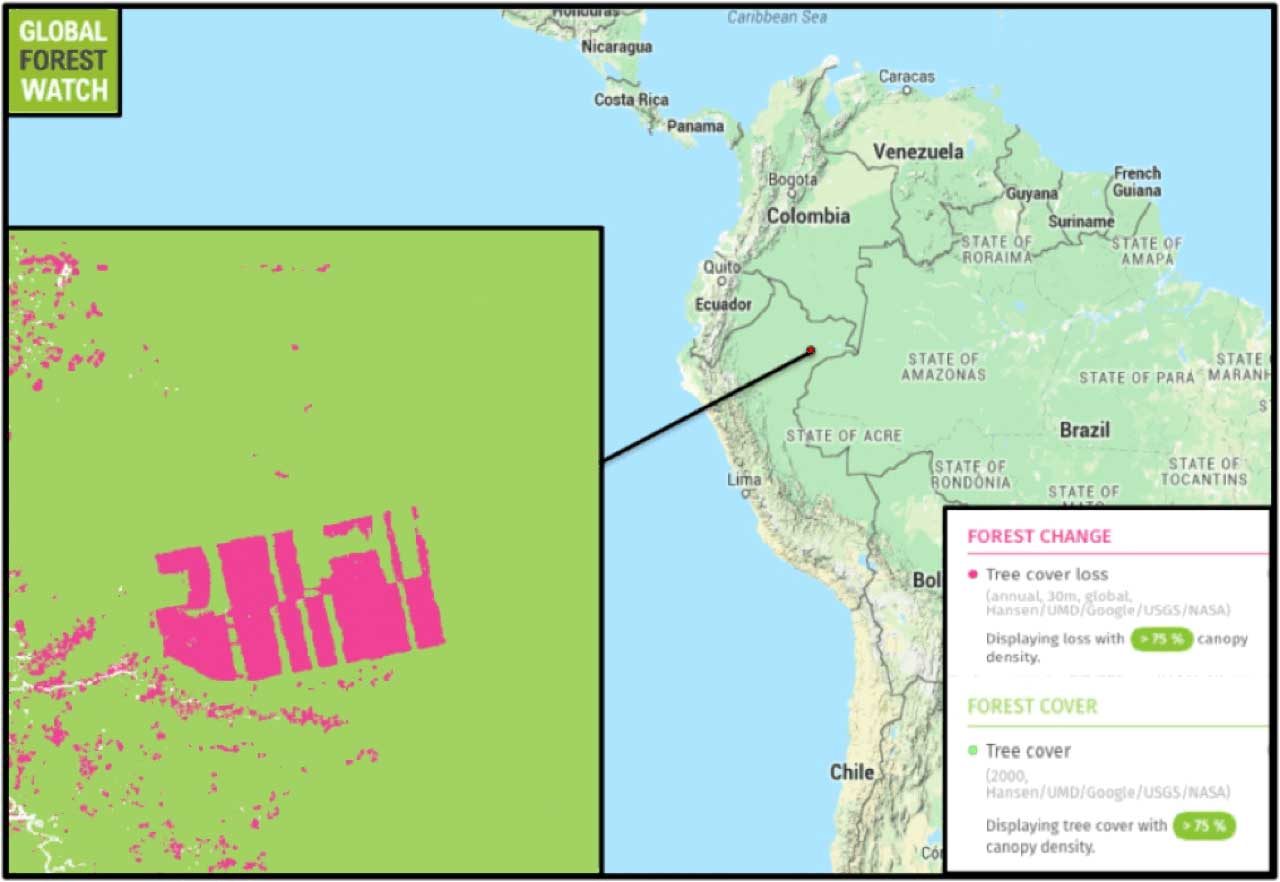 Map Peru – Global Forest Watch